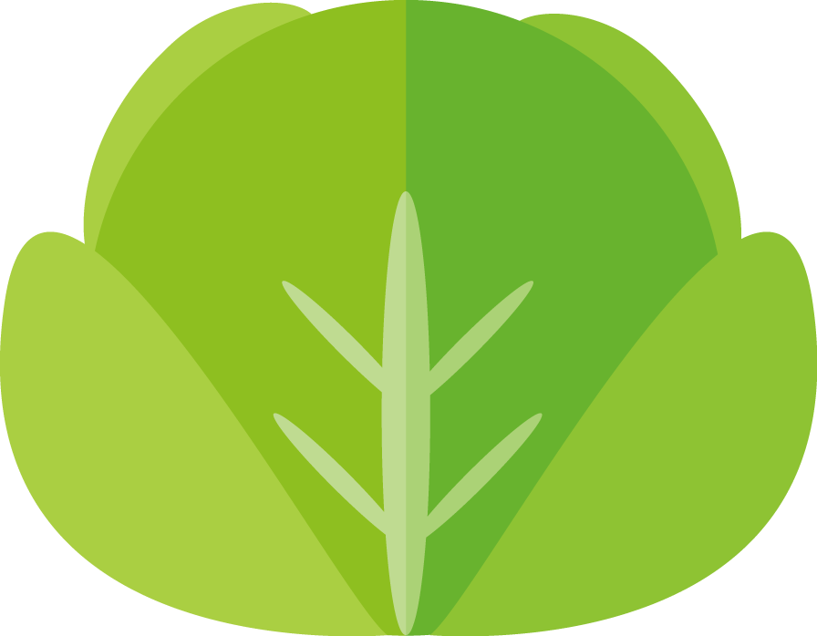 Vegetable Bok Choy Icon - Vegetable Bok Choy Icon (896x698)