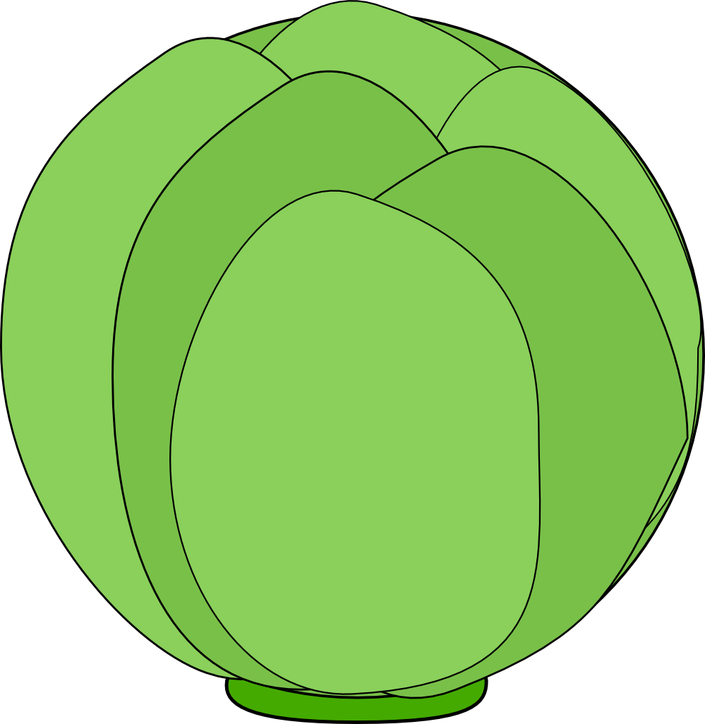 Cabbage - Clipart - Cabbage Clip Art (999x1027)
