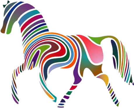 Equine Anatomy And Biomechanics - Horse Of A Different Color Idiom (576x407)