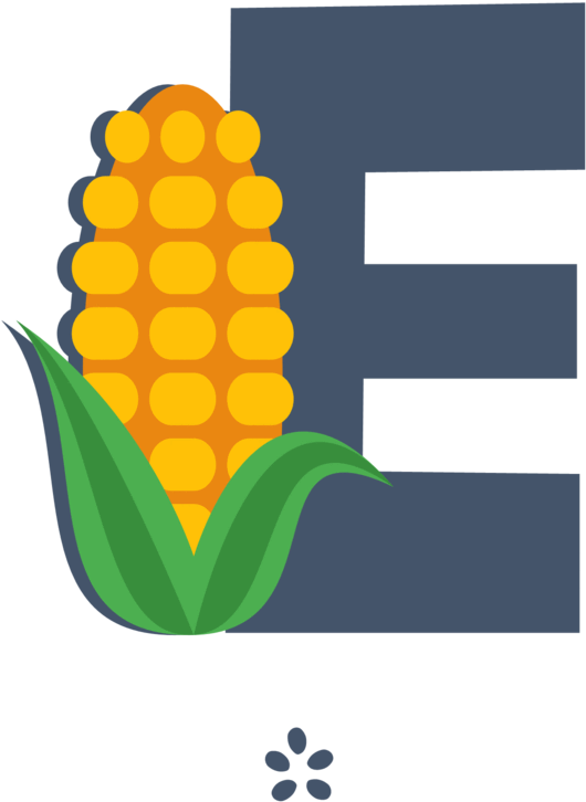 Delectable Sweet Corn - Golden Bantam (620x808)