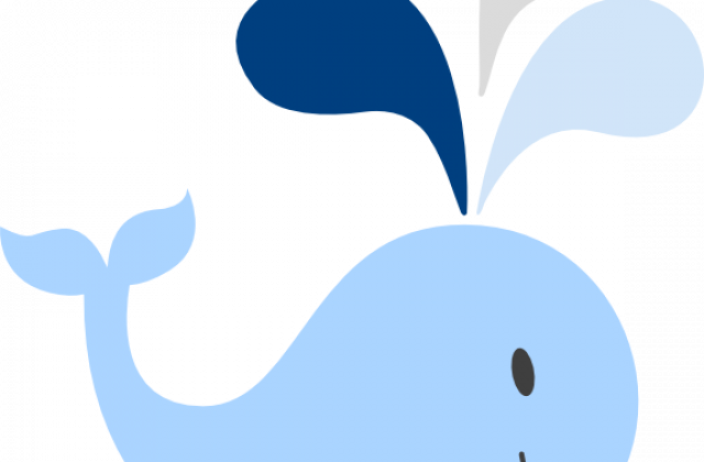 Cute Whale Clip Art Vector Online Royalty Free And - Cetacea (640x420)