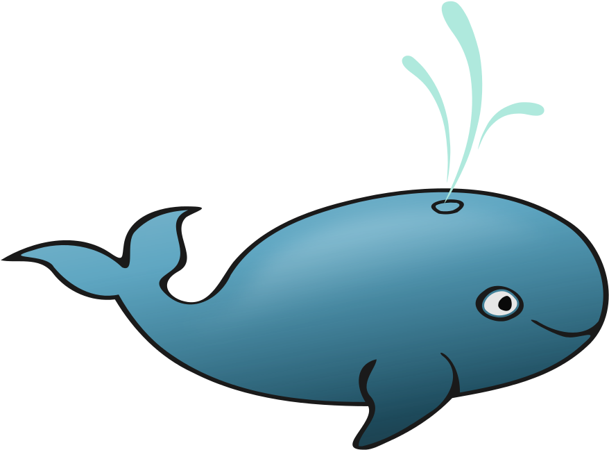 Whale Clip Art - Cetacea (1000x866)