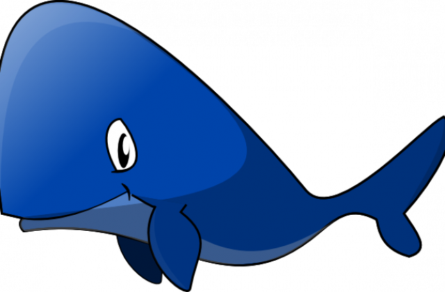 Whale Clip Art - Whale Clip Art (640x420)