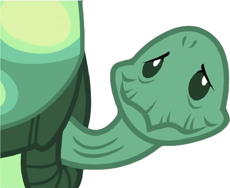 Tank The Tortoise By Brightrai - My Little Pony Tank (900x720)