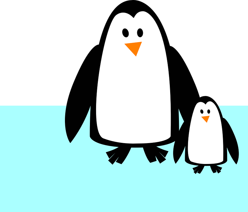 King Penguin Clipart Baby Penguin - Penguin Clipart Black And White (844x720)