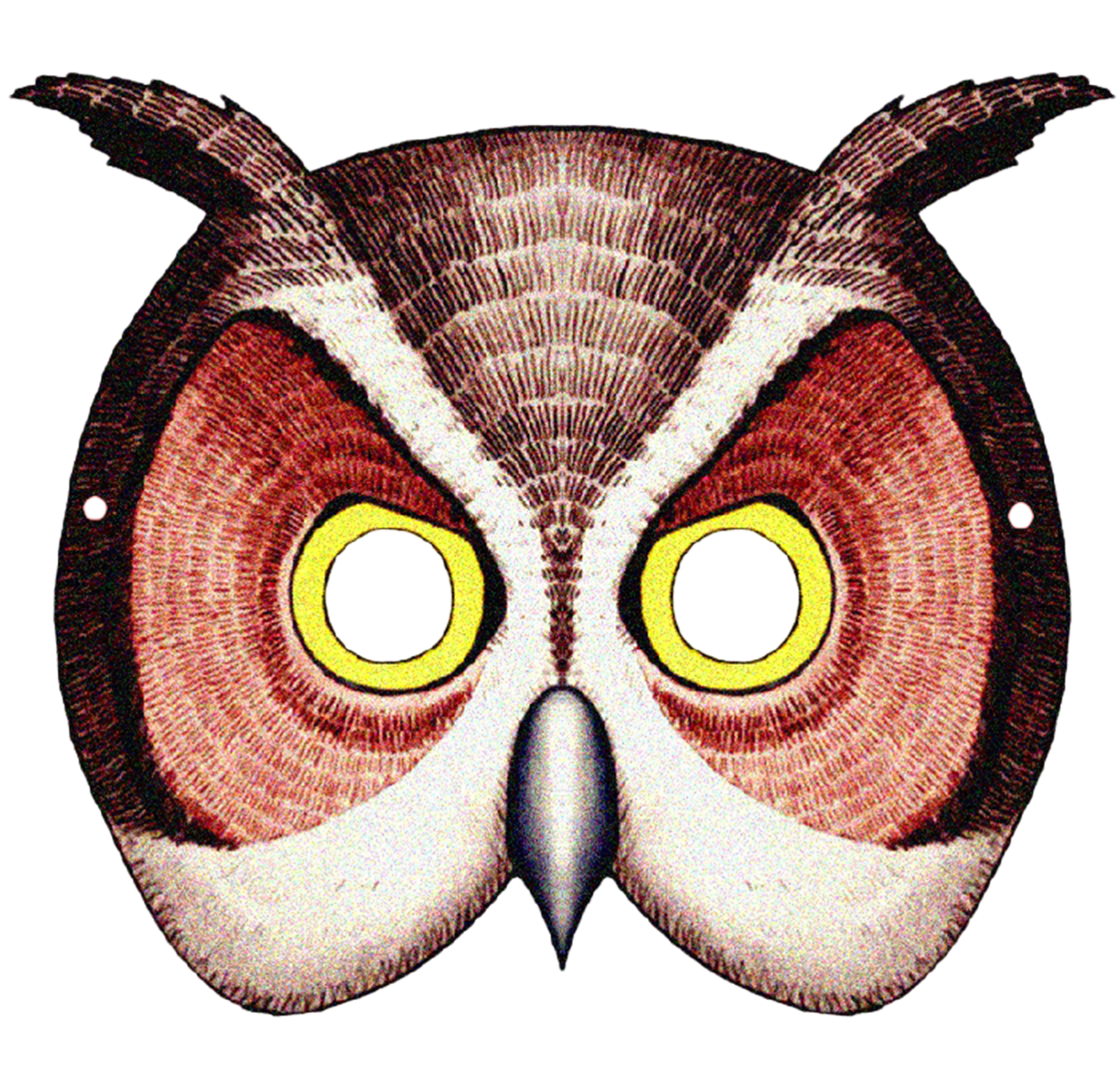 Barn Owl Mask Animal Giant Panda - Barn Owl Mask Animal Giant Panda (1118x1070)