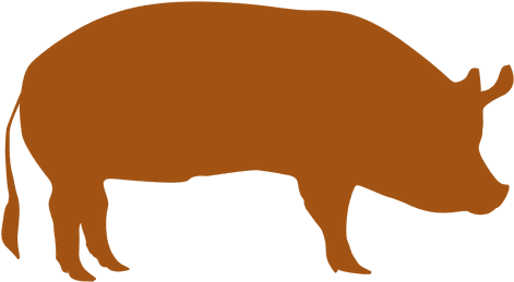 Wes' Has It All - Pig Transparent (512x272)