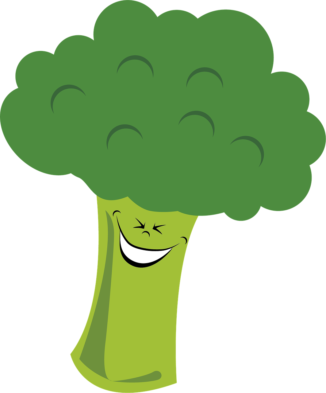 Food, Broccoli, Vegetables, Vegetable, Food - Vegetable (1063x1280)