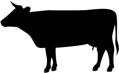 So Full Of Flavour, Rump H Bone Is Absolutely Fantastic - Chicken Pig Cow (400x400)