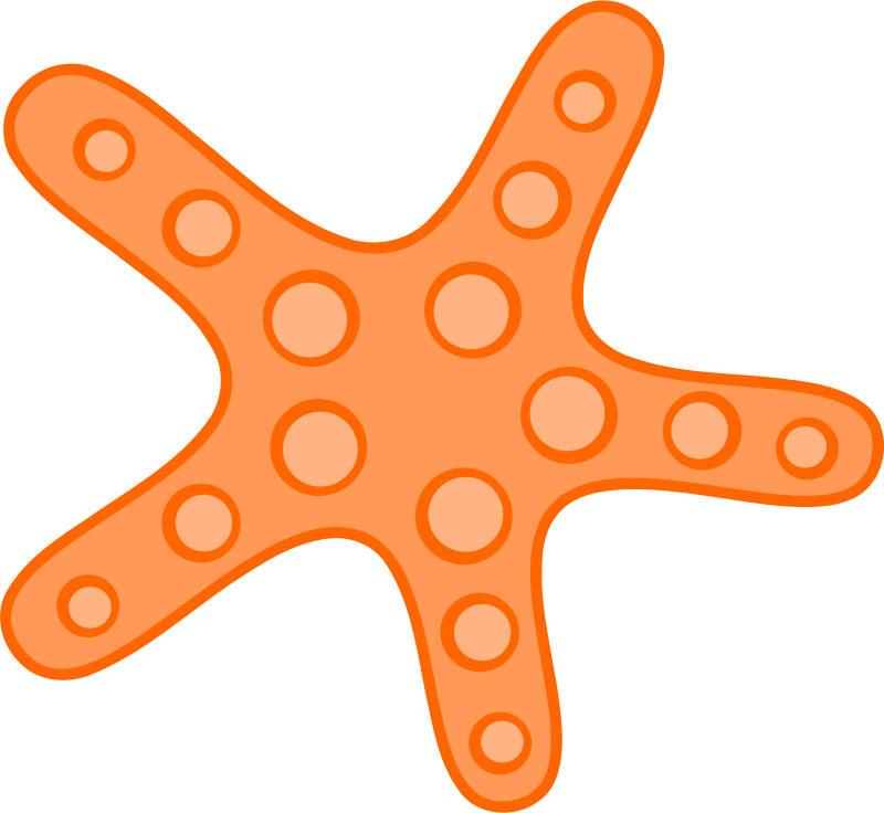 Sea Star Clipart - Starfish Clipart (800x736)