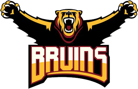 Mountain View Bruins - Mountain View High School Bruins (482x300)