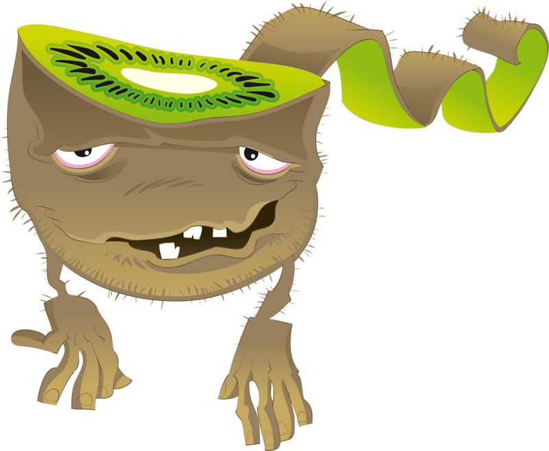 Crafts - Kiwifruit (800x658)