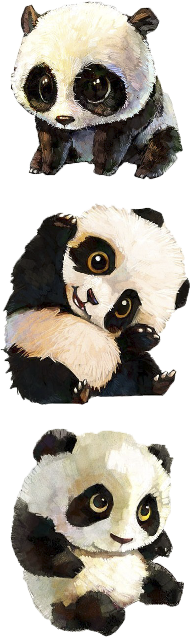 Giant Panda Tibetan Mastiff Red Panda Baby Pandas Bear - Baby Panda Drawing (578x1360)