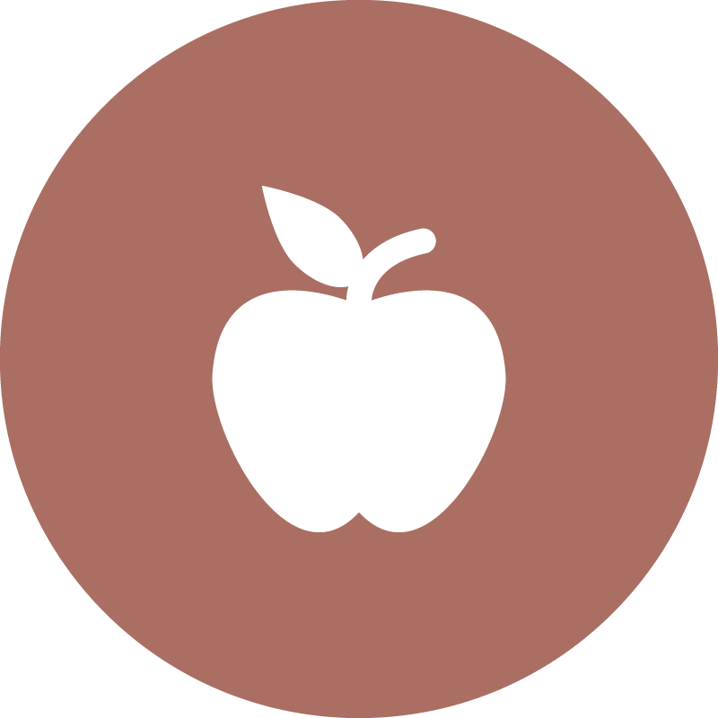 Bronze Badge - Apple (800x800)