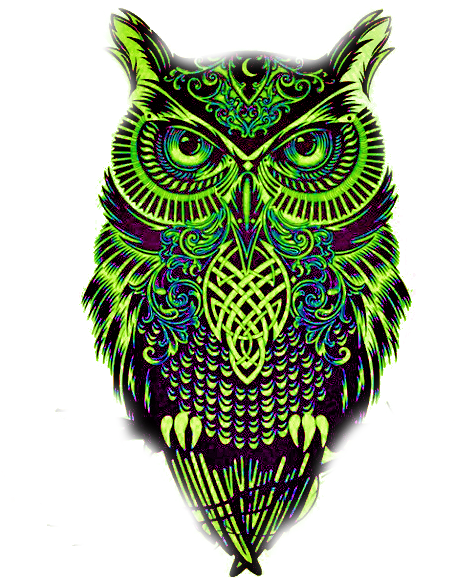 Transparent Owl Tumblr Drawing - Plantillas De Tatuajes De Buhos (500x650)