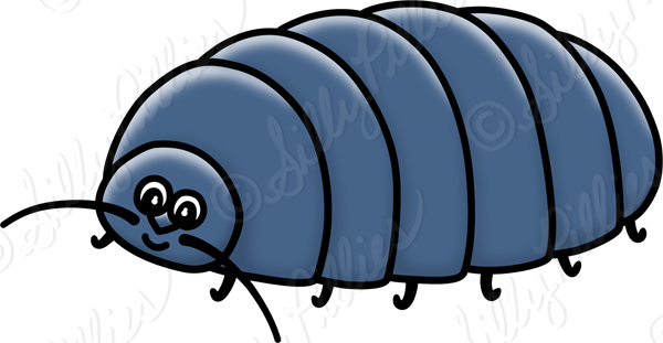 Bugs Clipart Isopod - Roly Poly Clipart (600x311)
