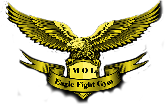 Logo - Al'-farabiyskiy Rayonnyy Sud G.shymkenta (600x374)