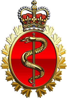 Canadian Forces Medical Service - Canadian Forces Medical Services (321x450)