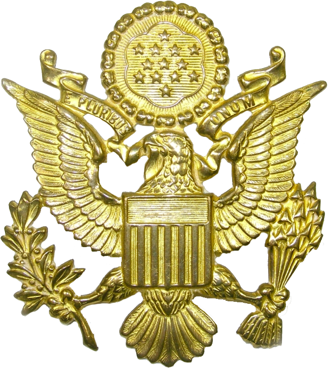 Military American Eagle (663x745)