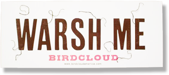 Warsh Me Bumper Sticker - Sutherland Shire Council Logo (600x599)