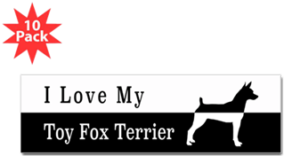Toy Fox Terrier Bumper Bumper Sticker - Obama Bumper (350x350)