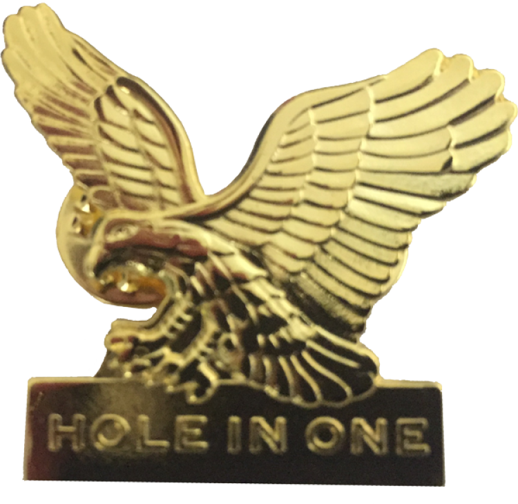 Hole In One Badge - Golf (750x729)