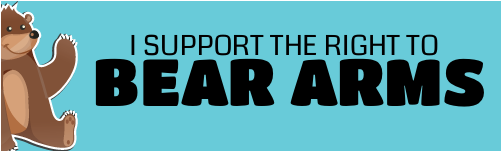 Clipart - Right To Bear Arms Bumper Sticker (740x500)