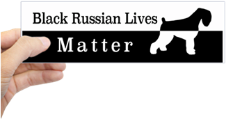 Bumper Bumper Sticker - Bernie Sanders Presidential Campaign, 2016 (350x350)