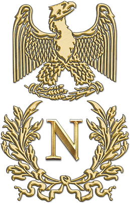 Total War - Napoleon Total War Logo (286x449)