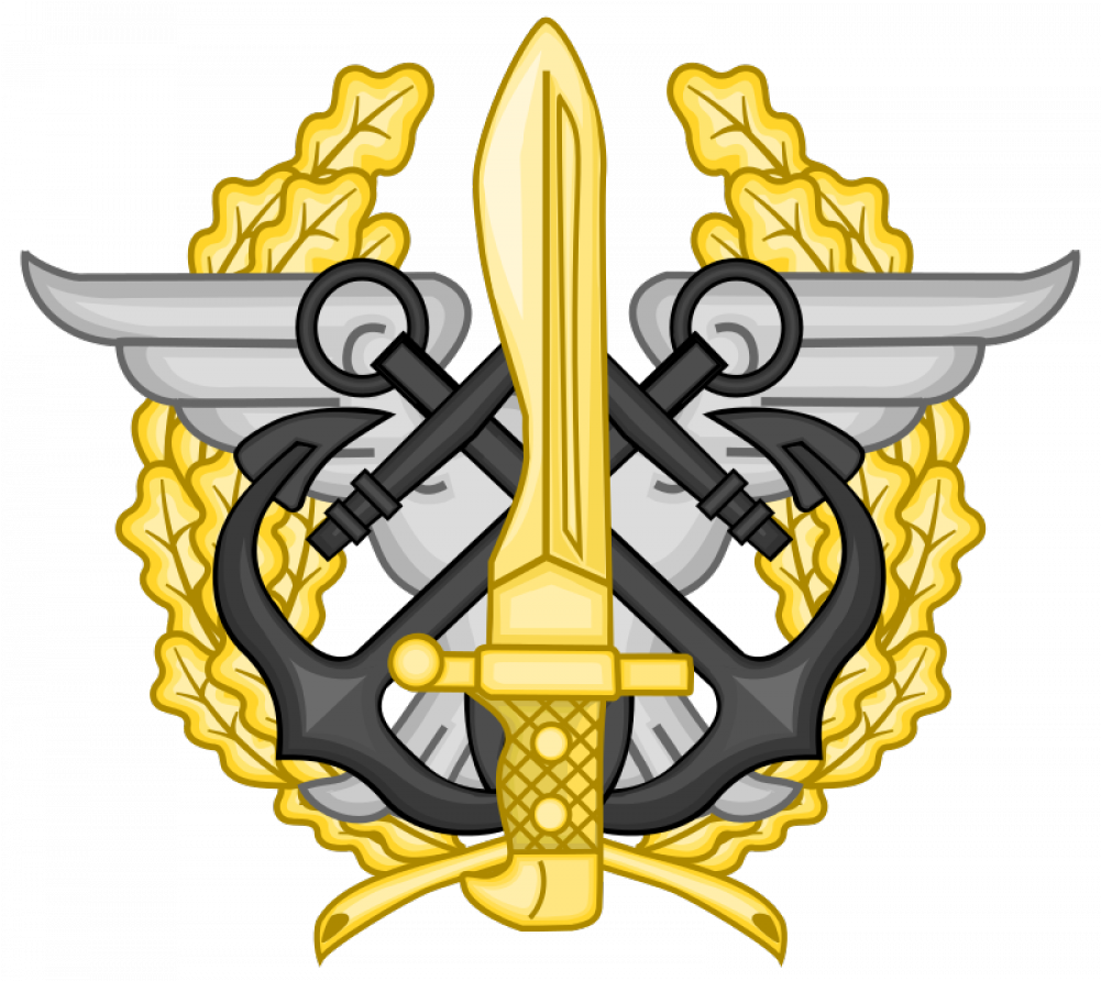 Military Insignia - Fuerzas Especiales Leones (1000x1000)