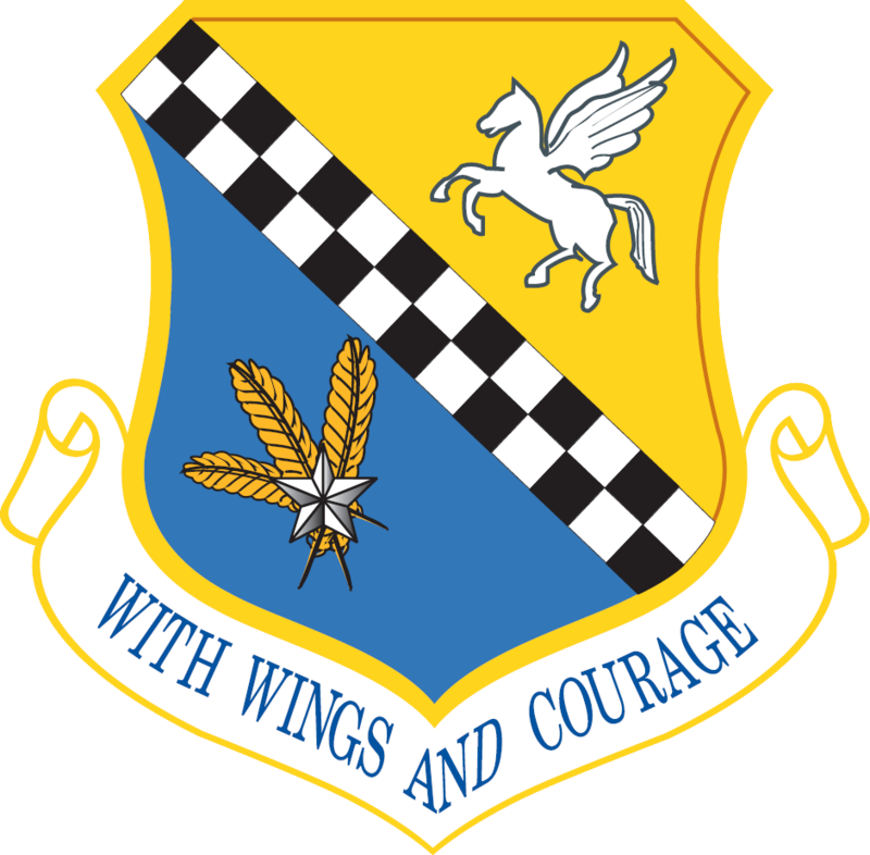 Military Insignia - Fighter Wing (800x786)