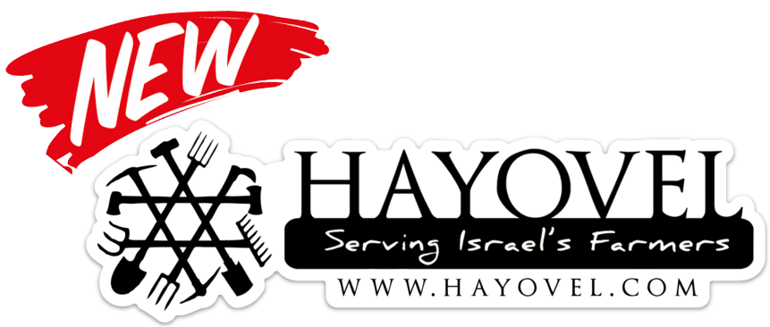 Hayovel Bumper Sticker - 16-oz Talon Ptfe Pipe Thread Sealant (867x382)