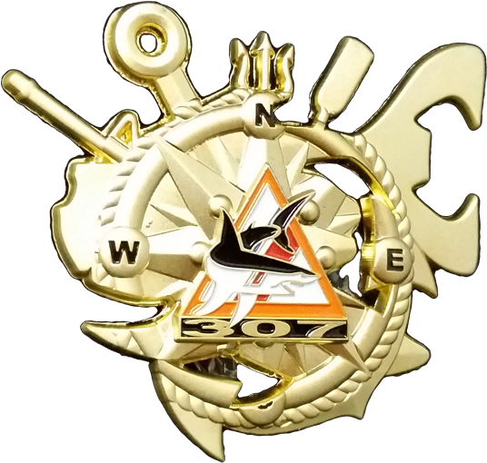 Metal Military Coin Custom Shapes - Emblem (540x540)