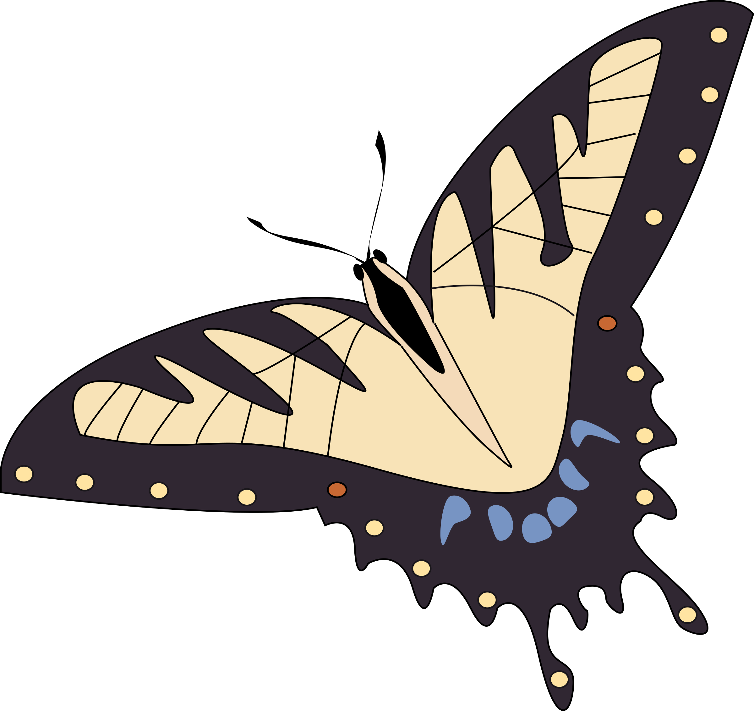 Butterfly Papillon - Custom Black And Tan Butterfly Shower Curtain (2400x2261)