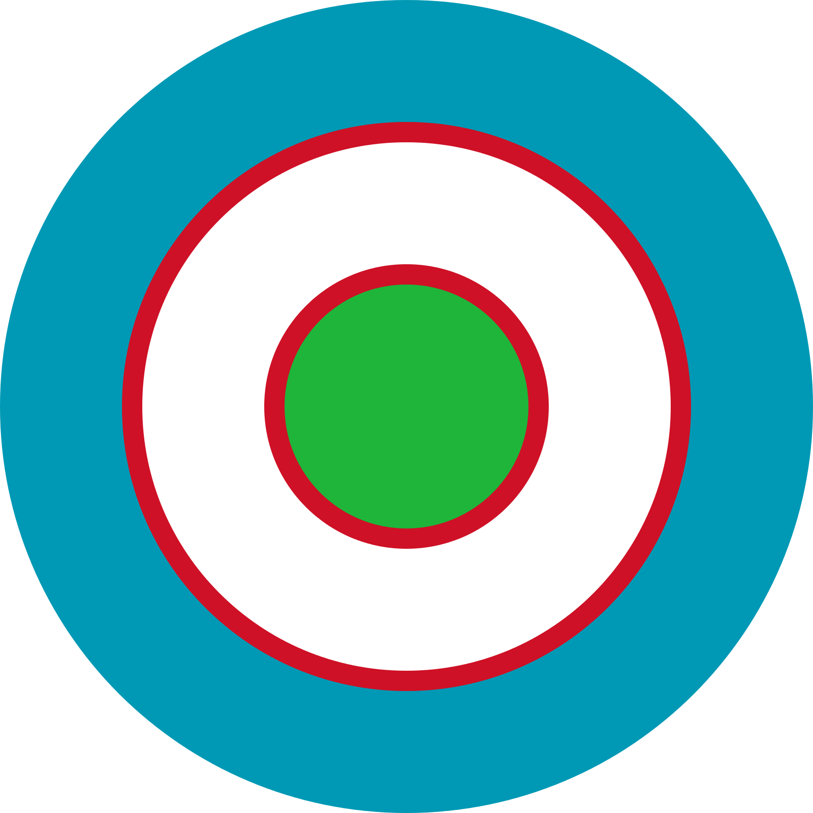 Uzbekistan Air Force Roundel - Black Ops Player Card Ideas (1600x1600)