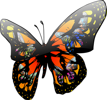 Butterfly Insect Wildlife Colorful Nature - Moving Clip Art Butterfly (364x340)