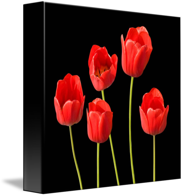 Canvas Print (606x650)