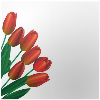 Sprenger's Tulip (400x400)