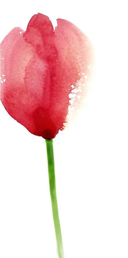 Tulip Painting Pink - Tulip Painting Pink (600x1282)