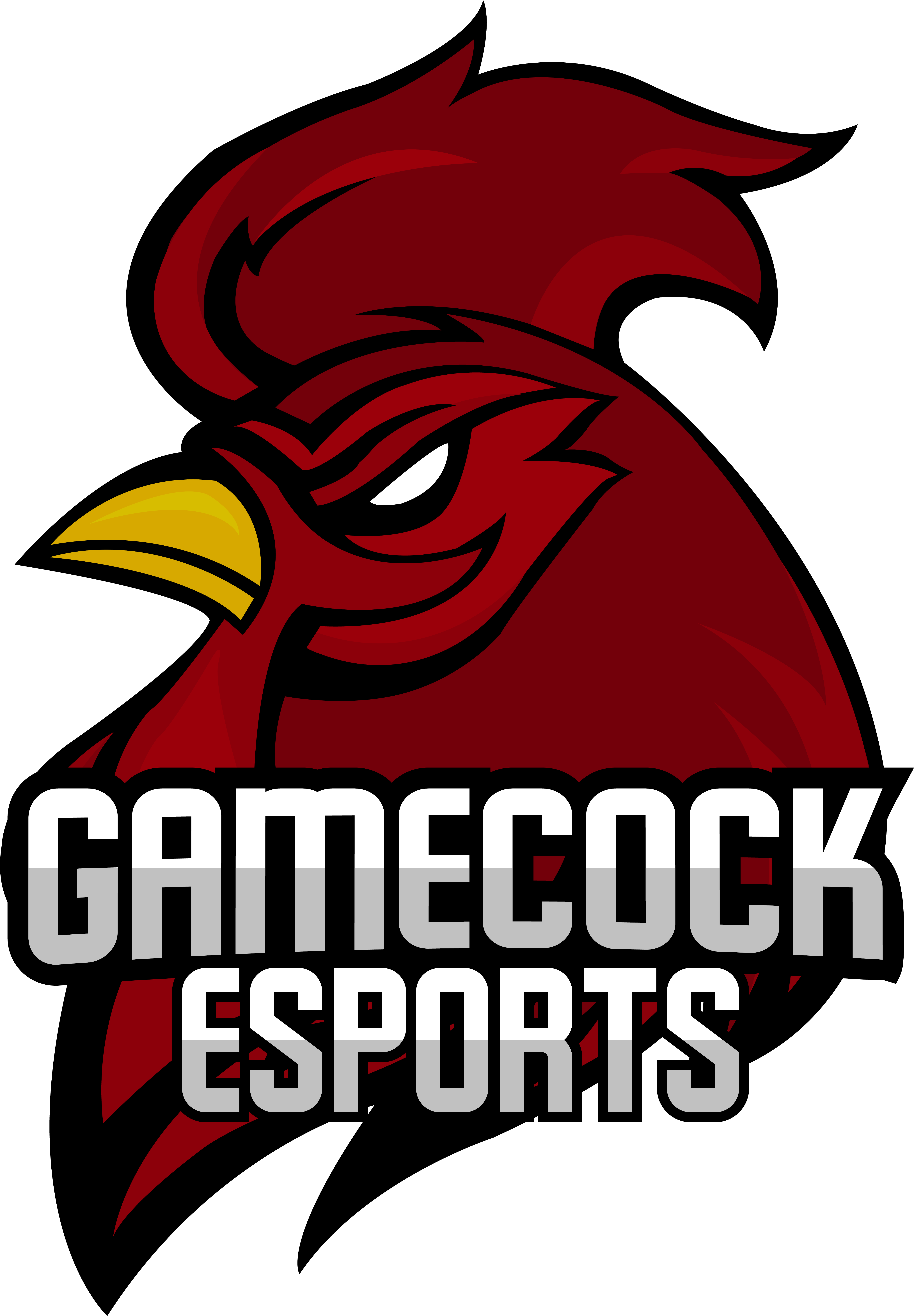 University Of South Carolina - Cartoon (5085x7318)