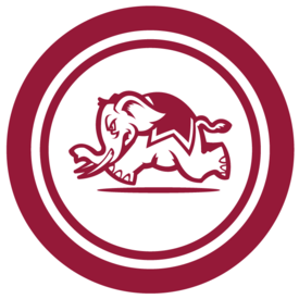 Alabama - Alabama Crimson Tide Football (400x320)