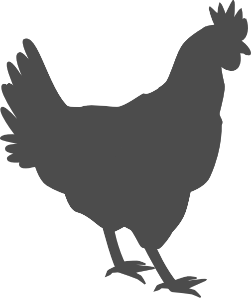 Gray Hen Clip Art - Beware Protected By A Chicken Chic Sign Vintage Retro (504x598)