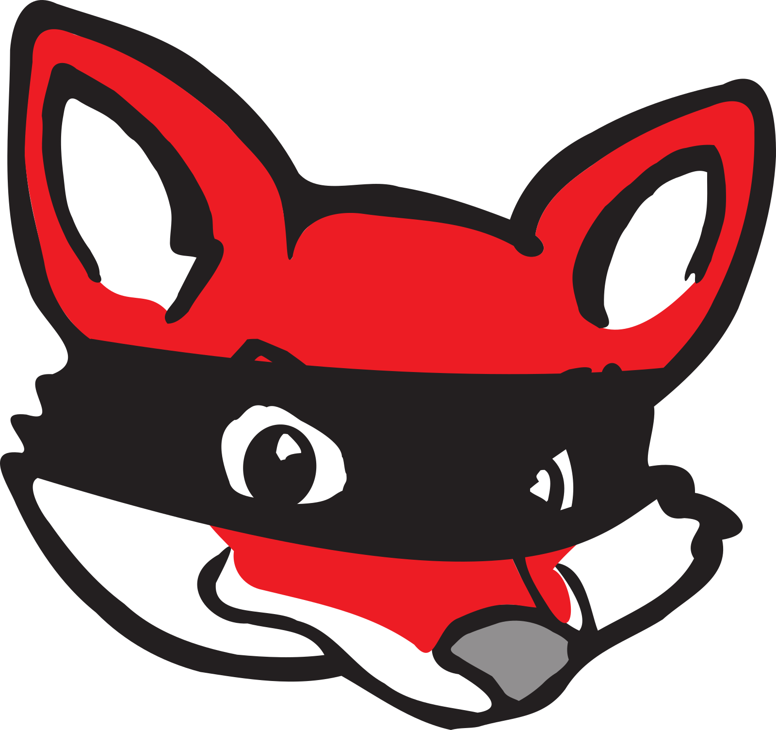 Redfox Logo - Anydvd & Anydvd Hd (1600x1505)