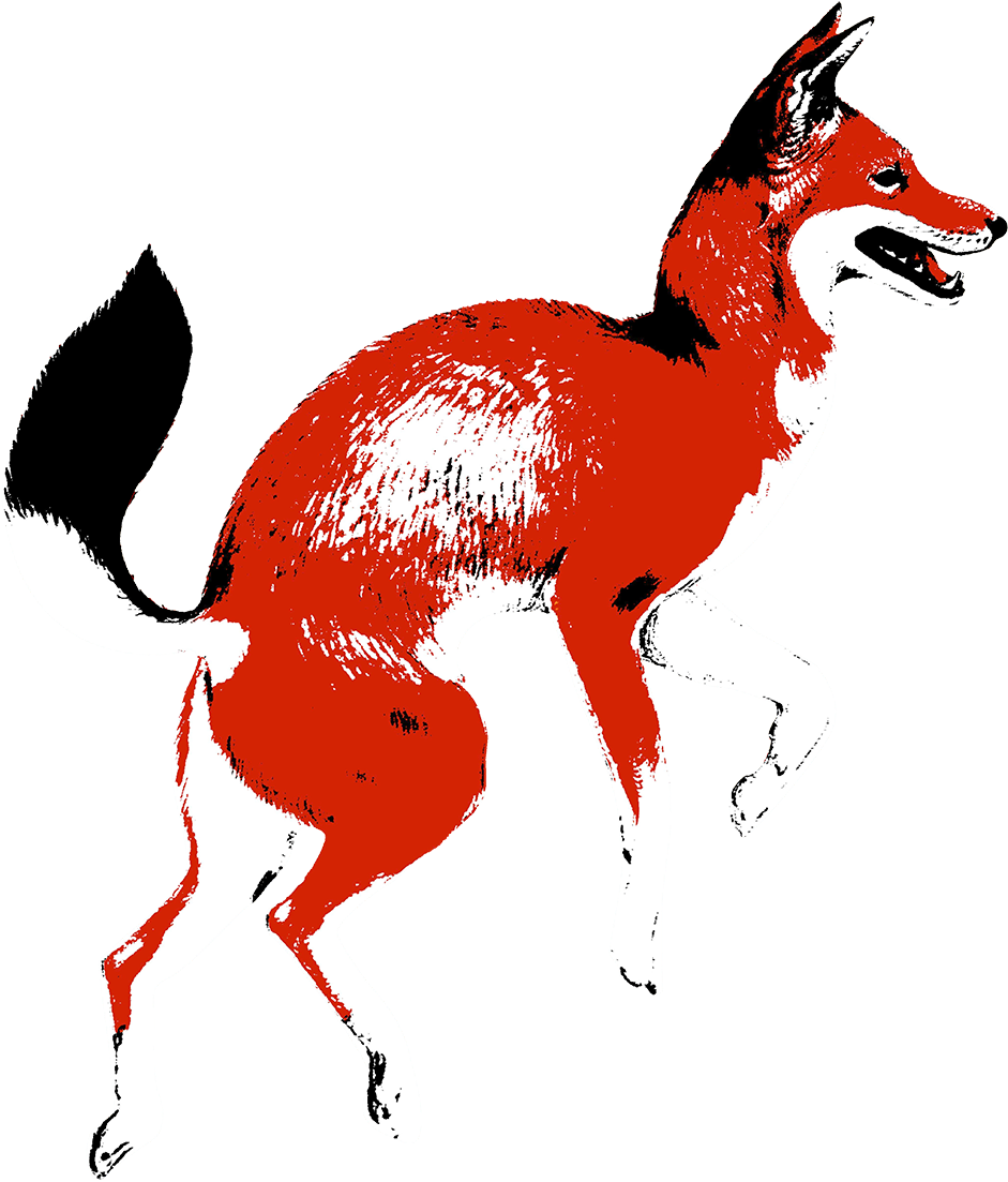 Red Fox Coffee Merchants - Addis Ababa (1000x1179)