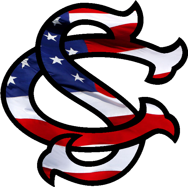 A7xrox - South Carolina Gamecocks Baseball (729x644)