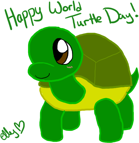 Happy World Turtle Day - Happy World Turtle Day (500x500)