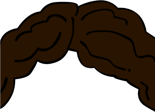Brown Hair Clipart Curled - Black Curly Hair Clip Art (640x480)