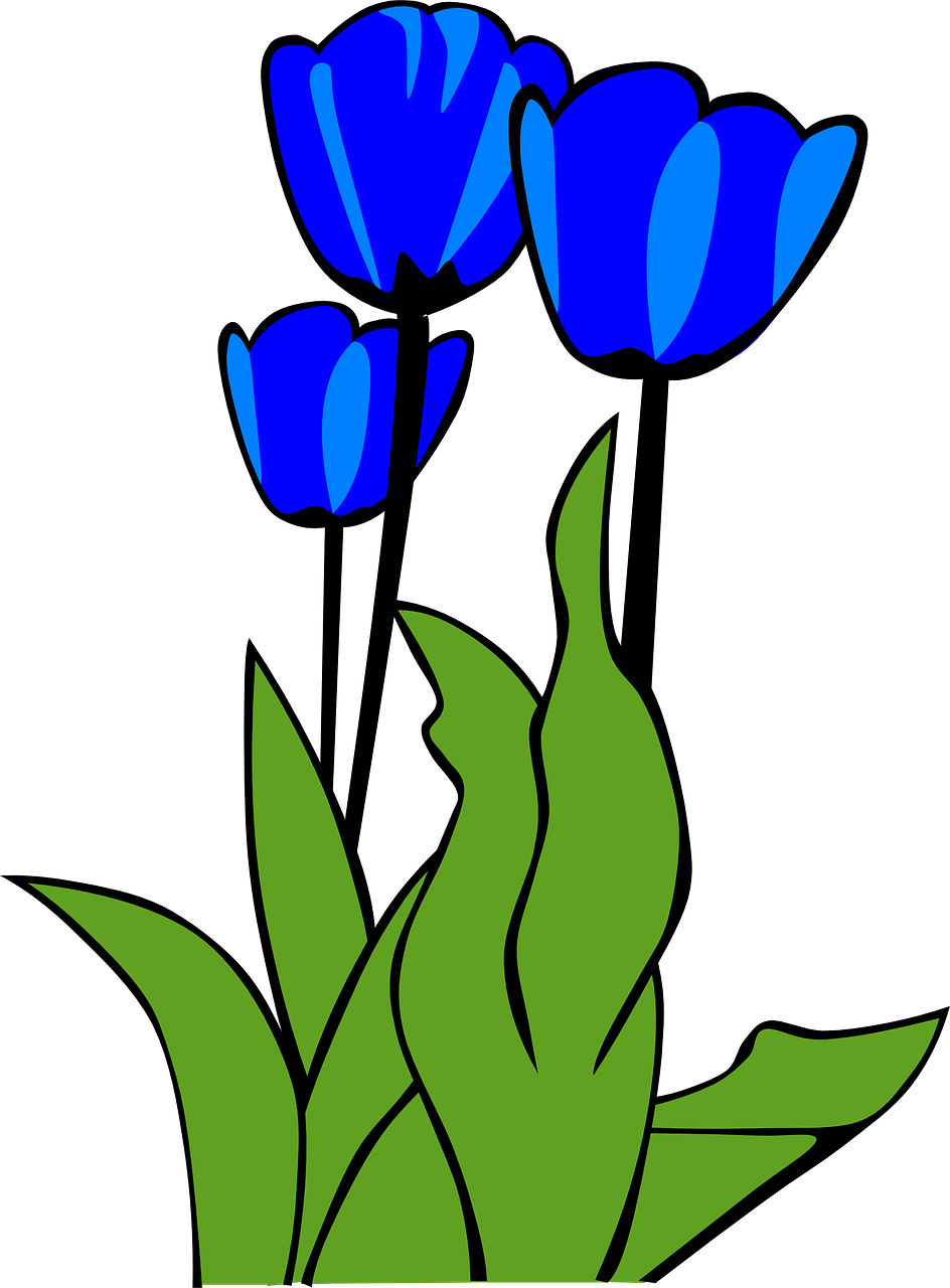 Free Spring Clip Art Images That You Can Use On All - Spring Clip Art (944x1280)