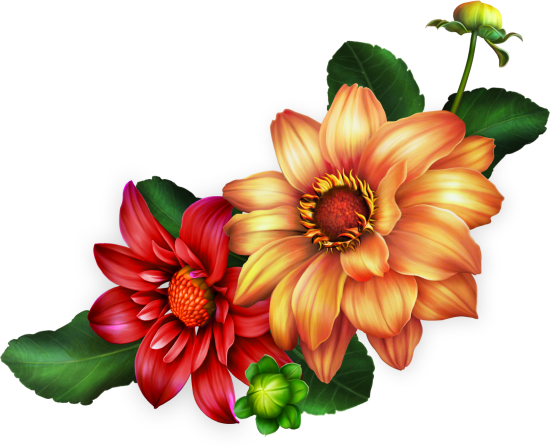 Trademark Art Jean Plout 'autumn Bouquet 6' Gallery-wrapped (550x448)