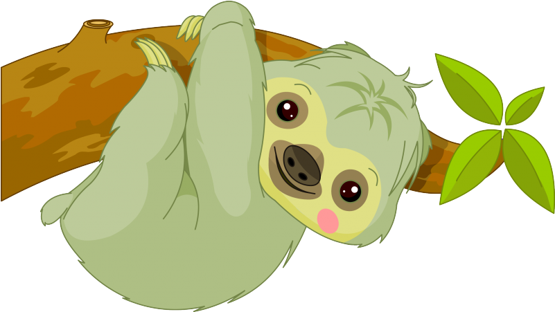 Next - Sloth Clipart (800x800)